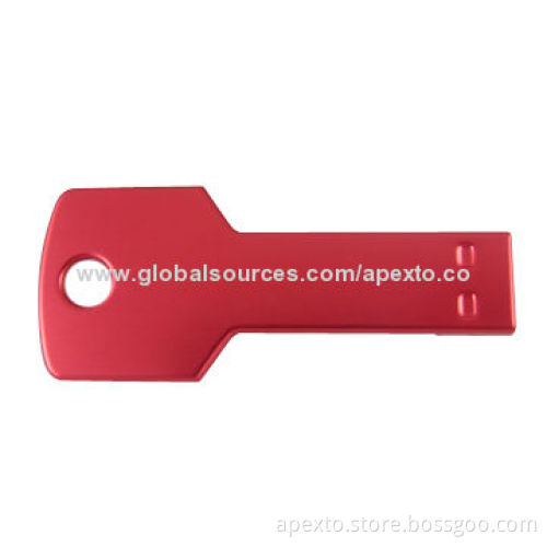 Key Shaped USB Flash Drive, Customized Logos Welcomed, 2 and 4GB Capacity, Supports Insert Files